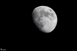 lune-394